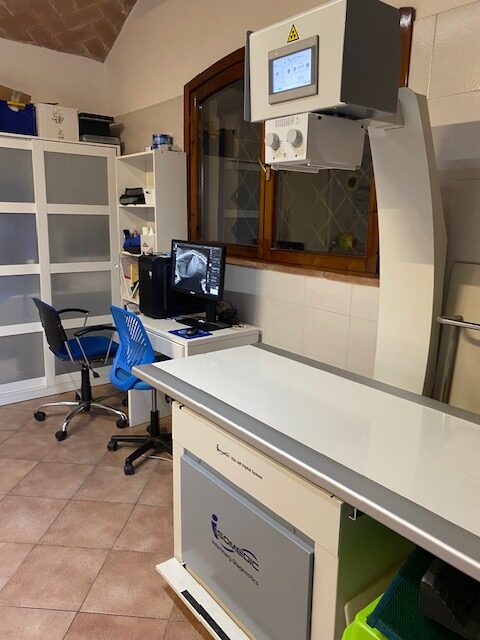 RADIOLOGIA DIGITALE